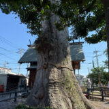 日記250726(土)晴