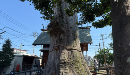 日記250726(土)晴