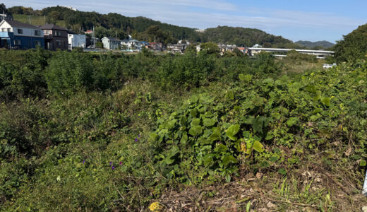 闘老251030(木)晴18-9℃