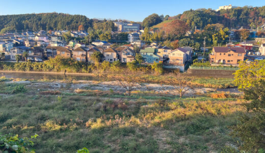 日記241122(金)快晴