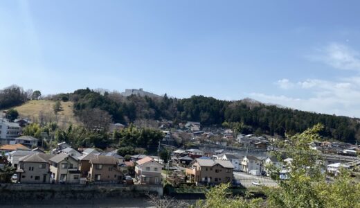 殺生武器輸出「可能」が浮上