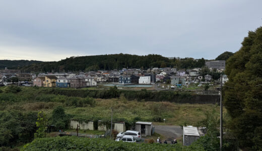 闘老251101(土)晴^曇23-11℃