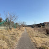 日記260301(日)晴4~19°C