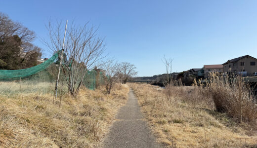 日記260301(日)晴4~19°C