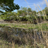 260422(水)晴^曇 24〜8℃