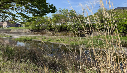 260422(水)晴^曇 24〜8℃