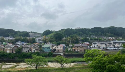 「同性生殖」でキタシロサイの絶滅回避