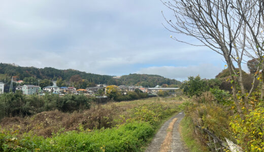 日記241121(木)雨曇 晴