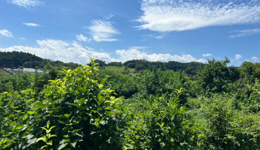 📓240801(木)晴れ