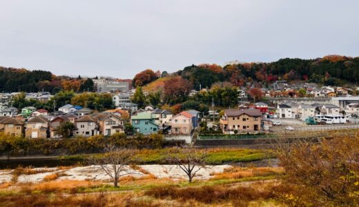 進む安保一体化 |米に追従