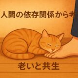 猫と人間の依存関係から考える老いと共生
