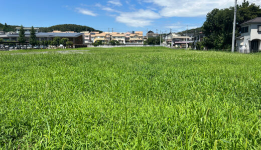 日記240810(土)晴れ