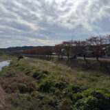 日記251112(水)晴15-5°c