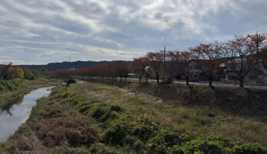 日記251112(水)晴15-5°c
