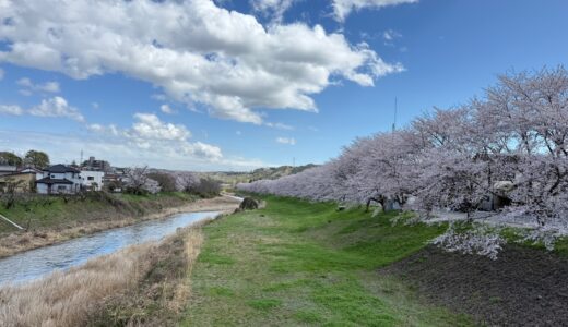 日記260402(木)晴‖雨8〜19℃