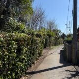 戦争の時代に生まれた哲学 ― サルトルの実存主義（第10回）