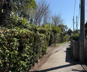 戦争の時代に生まれた哲学 ― サルトルの実存主義（第10回）