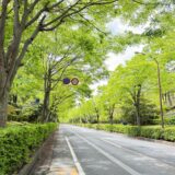 日記260425(土)晴|曇21〜10℃