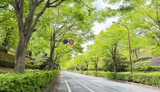 日記260425(土)晴|曇21〜10℃