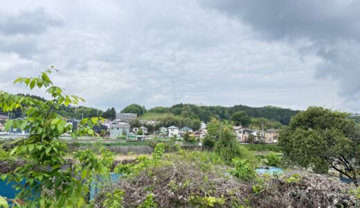 日記260430(木)曇17〜11℃