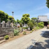日記260502(土)晴29〜10℃