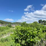 日記260509(土)晴^曇23〜13℃