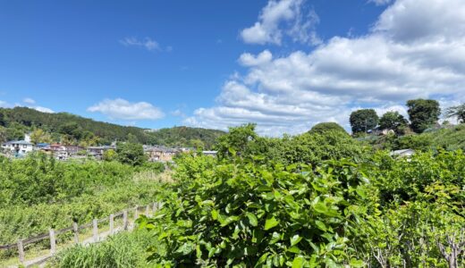 日記260509(土)晴^曇23〜13℃
