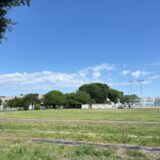日記260510(日)晴
