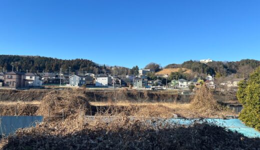 日記250126(日)晴風強し