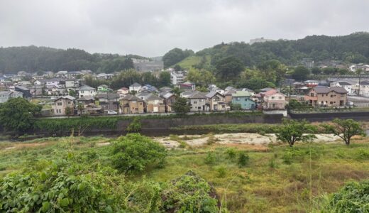 老活260521(木)雨24〜16℃