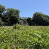 老活260531(日)晴31〜18°c