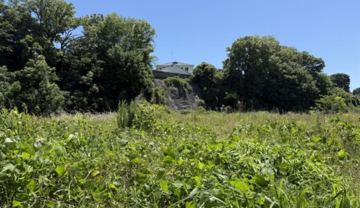 老活260531(日)晴31〜18°c
