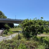 老活260530(土)晴29〜17℃