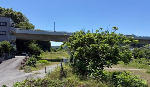 老活260530(土)晴29〜17℃
