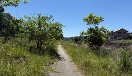 老活260601(月)晴^曇32〜16℃