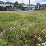 老活260604(木)曇23〜17℃