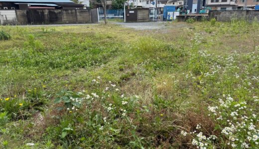 老活260604(木)曇23〜17℃