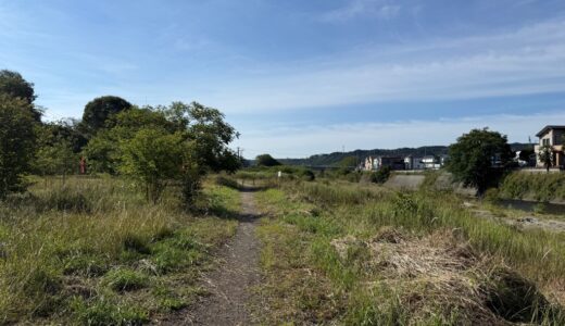 老活260616(火)晴|曇29〜14℃