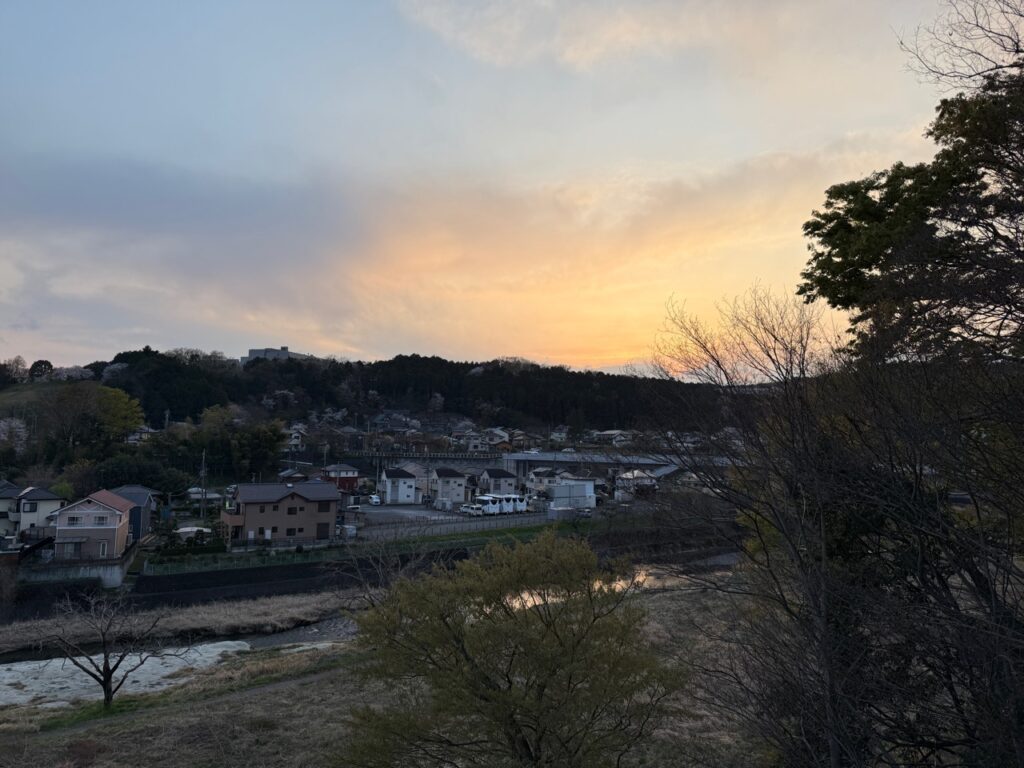日記250408(火)晴 | まんだら