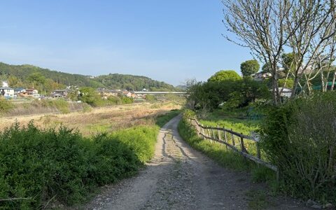 日記250424(木)曇