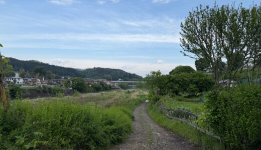 日記250504(日)晴