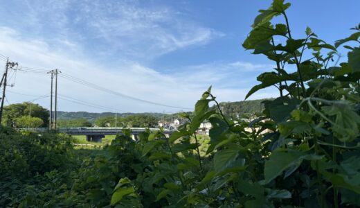 日記250513(火)晴