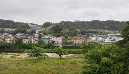 日記250531(土)雨模様