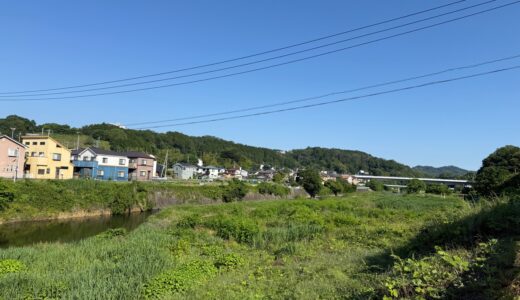 日記250605(木)晴