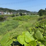 日記250607(土)晴時々曇29〜19℃