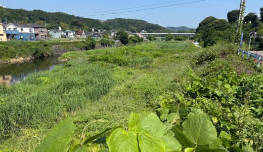 日記250607(土)晴時々曇29〜19℃