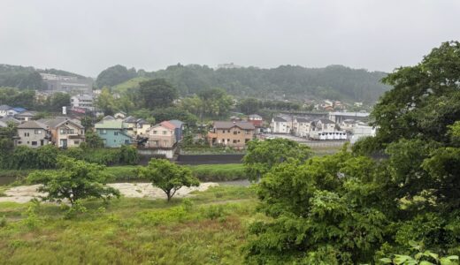 日記250610(火)雨