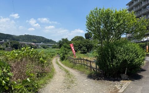 日記250624(火)雨、曇