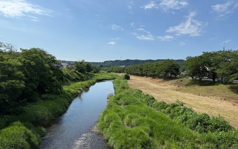 日記250619(木)晴