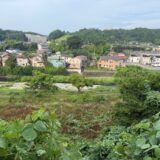 日記250705(土)曇